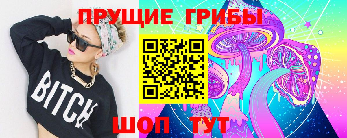даркнет сайт  Галлюциногенные грибы GOLDEN TEACHER  Вход с VPN  Гудермес  Псилоцибиновые грибы GOLDEN TEACHER 