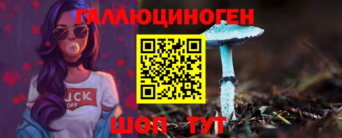 Галлюциногенные грибы Magic Shrooms Гудермес